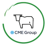CME Feeder Cattle